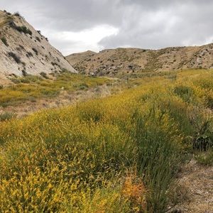 Meet your Posher, Susana